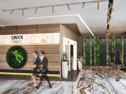 �� onyx deluxe ������ (���� �10)