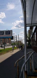      491 ( 2)