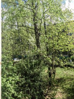 ����� �������� ��������������� �������� 46�7 (���� �7)