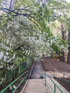 ����� �������� ��������������� �������� 46�7 (���� �18)