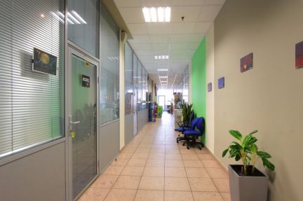 ����� ���� � �� ������ (���� �11)