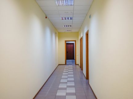       ( 2)