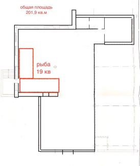       ( 3)