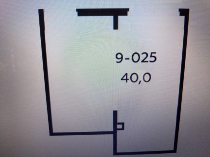        ( 5)