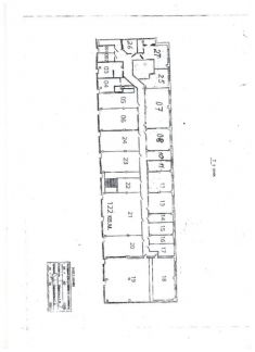      1126 ( 7)
