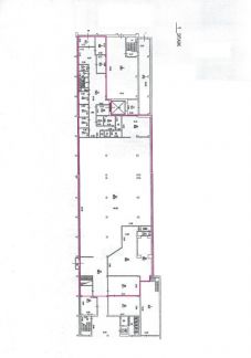      1126 ( 13)