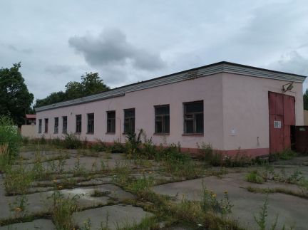         ( 4)