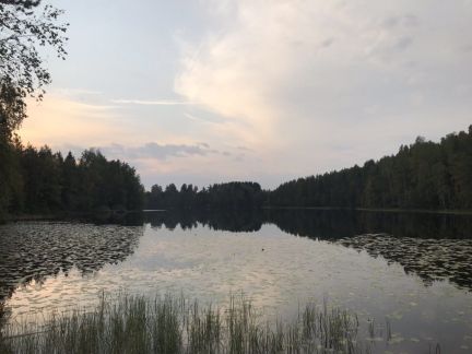 ������ ��������� ������� ���������� ������� �� 50 �� �� ������������� (���� �5)