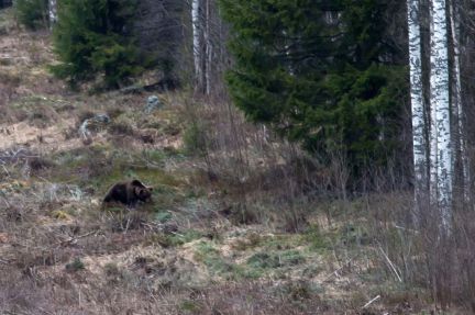 ������ ��������� ������� ���������� ������� �� 50 �� �� ������������� (���� �6)