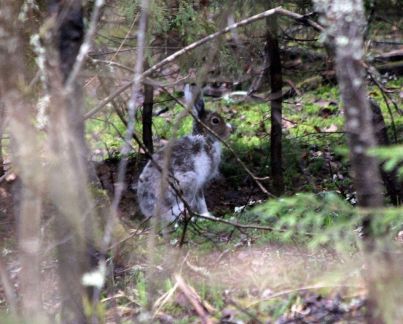 ������ ��������� ������� ���������� ������� �� 50 �� �� ������������� (���� �7)