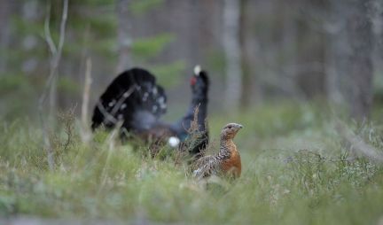 ������ ��������� ������� ���������� ������� �� 50 �� �� ������������� (���� �11)