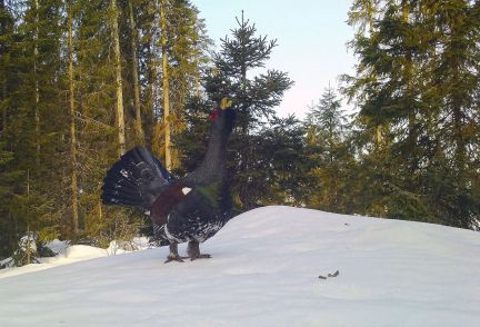 ������ ��������� ������� ���������� ������� �� 50 �� �� ������������� (���� �14)