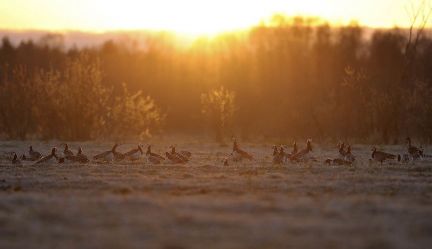 ������ ��������� ������� ���������� ������� �� 50 �� �� ������������� (���� �15)