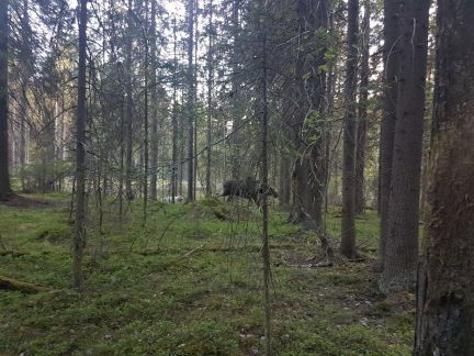 ������ ��������� ������� ���������� ������� �� 50 �� �� ������������� (���� �16)