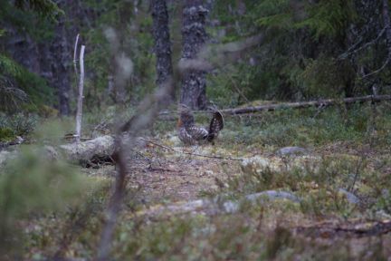 ������ ��������� ������� ���������� ������� �� 50 �� �� ������������� (���� �18)