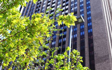 �� ����������� ���� ������ �������� (���� �10)