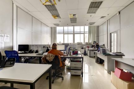 ����� ���� � �� ������� ����� (���� �13)