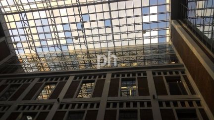 ������ ����� ���������� ����� (���� �6)