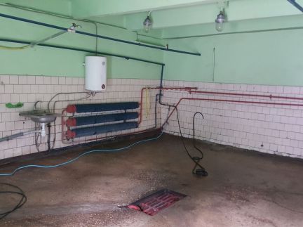 ������ ����������� ����� � ��� ���� (���� �8)