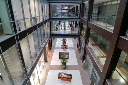 ����� ��������� ���������� ���������� � �� ����� ����� (���� �4)