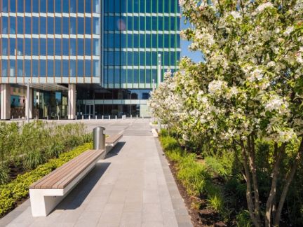 ����� ���� � �� ����� III (���� �5)