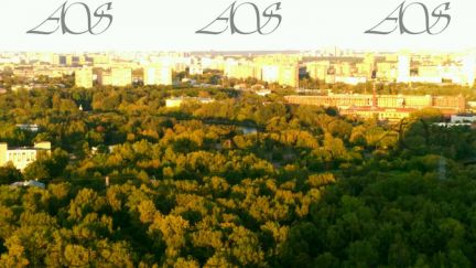 �� ������ ����� �������� (���� �13)