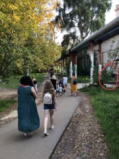       161 ( 6)