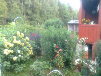 ������ ��� �������� (���� �6)