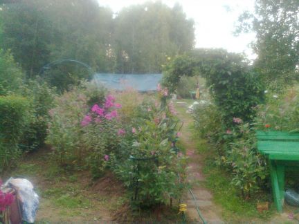 ������ ��� �������� (���� �8)