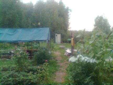 ������ ��� �������� (���� �9)