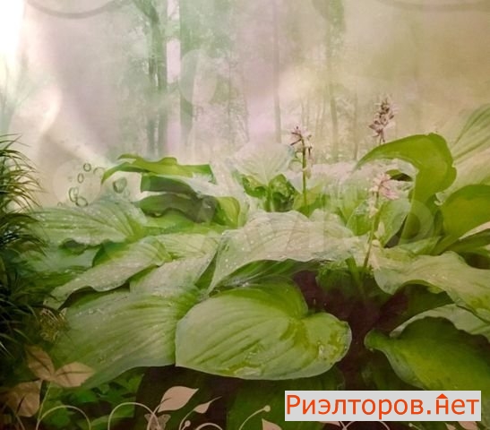 ������ �������� ����� ���� ������� 8�3 (���� �11)