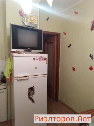����� �������� �����-����� ����� ������� 75 (���� �9)