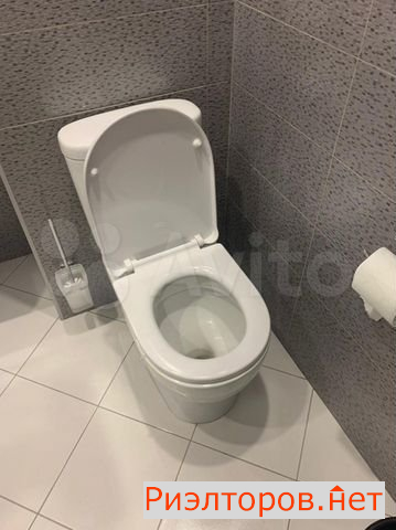����� �������� (���� �11)