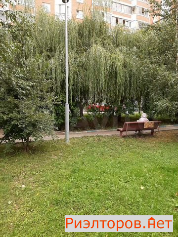 ����� �������� ��������� ������������ ����� 24 (���� �21)