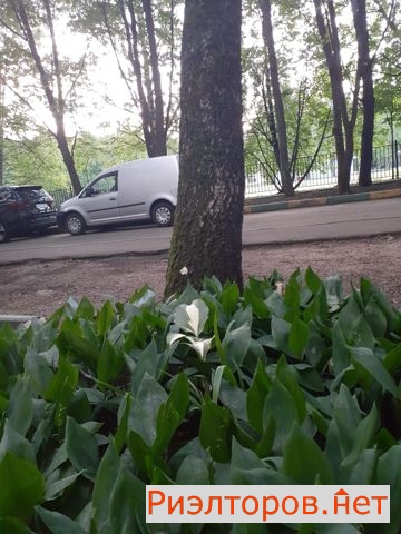 ������ �������� ����� ����������� 100�5 (���� �29)