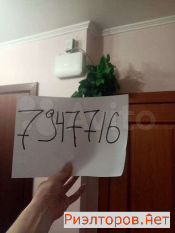 ����� �������� ����� ������������ 16�2 (���� �31)