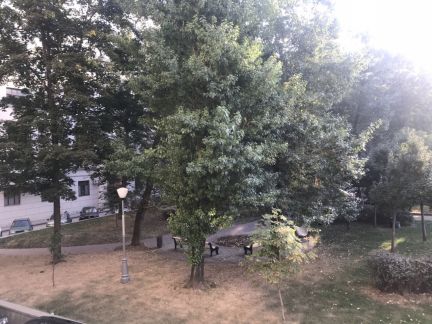 ������ �������� � ������ �� ����������� ��������� (���� �10)