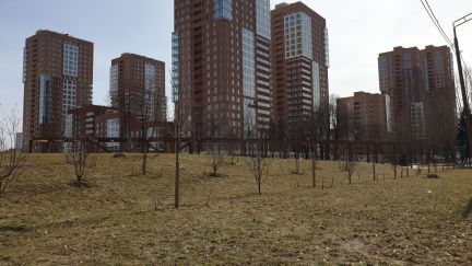 ������ �������� ��������� � �� Sreda (���� �5)