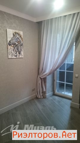 ����� �������� ����� �������� 81 (���� �3)