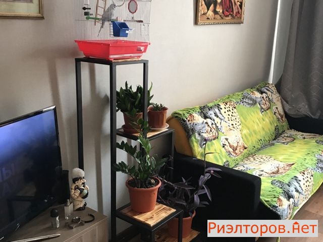 ������ ������� 7-� ����� ������������� 13 (���� �2)