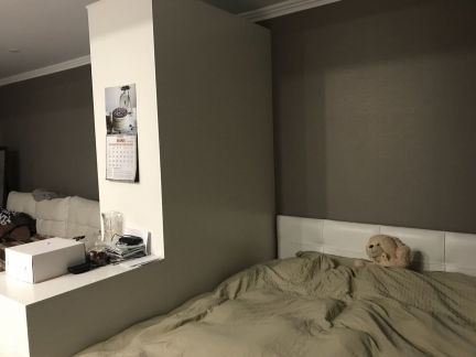 ����� �������� ��������� ����� ������� ����������� �������� 29�1 (���� �3)