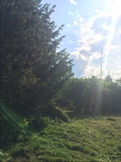 ������ ��������� ������� � ������� ��������� (���� �12)