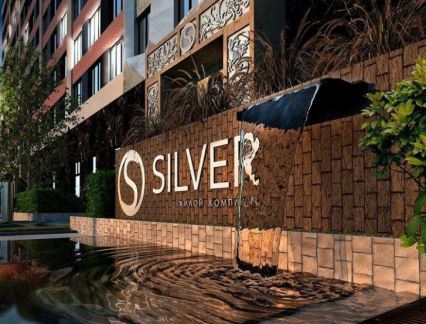 �� silver ������ (���� �2)