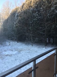 ������ ������������ ������������ ���-�������� ���������������� ����� ����� �������� ������ (���� �13)