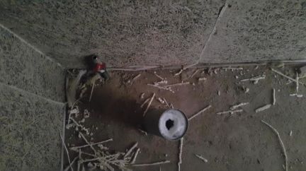 ������ ��� ������������ ����� �. ��������� (���� �14)