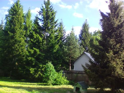 ������� ������ 95 (���� �4)