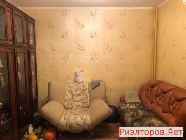 �� �������� ������ (���� �11)