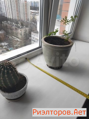 ������ �������� ����� ����� 12 (���� �23)