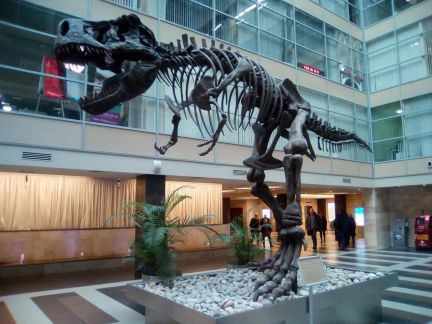 ����� ���� � �� grand setun plaza (���� �11)
