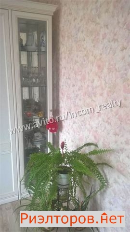 ������ �������� ����� ������� 25�4 (���� �12)